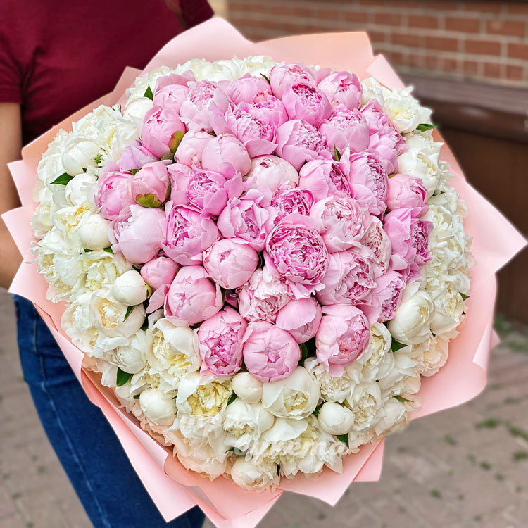 101 белый и розовый пион в крафте (крупный план)